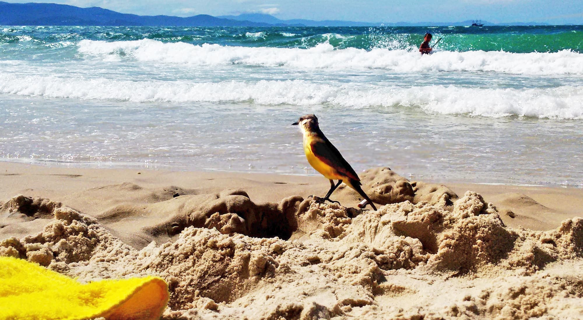 Florianópolis, Brasil