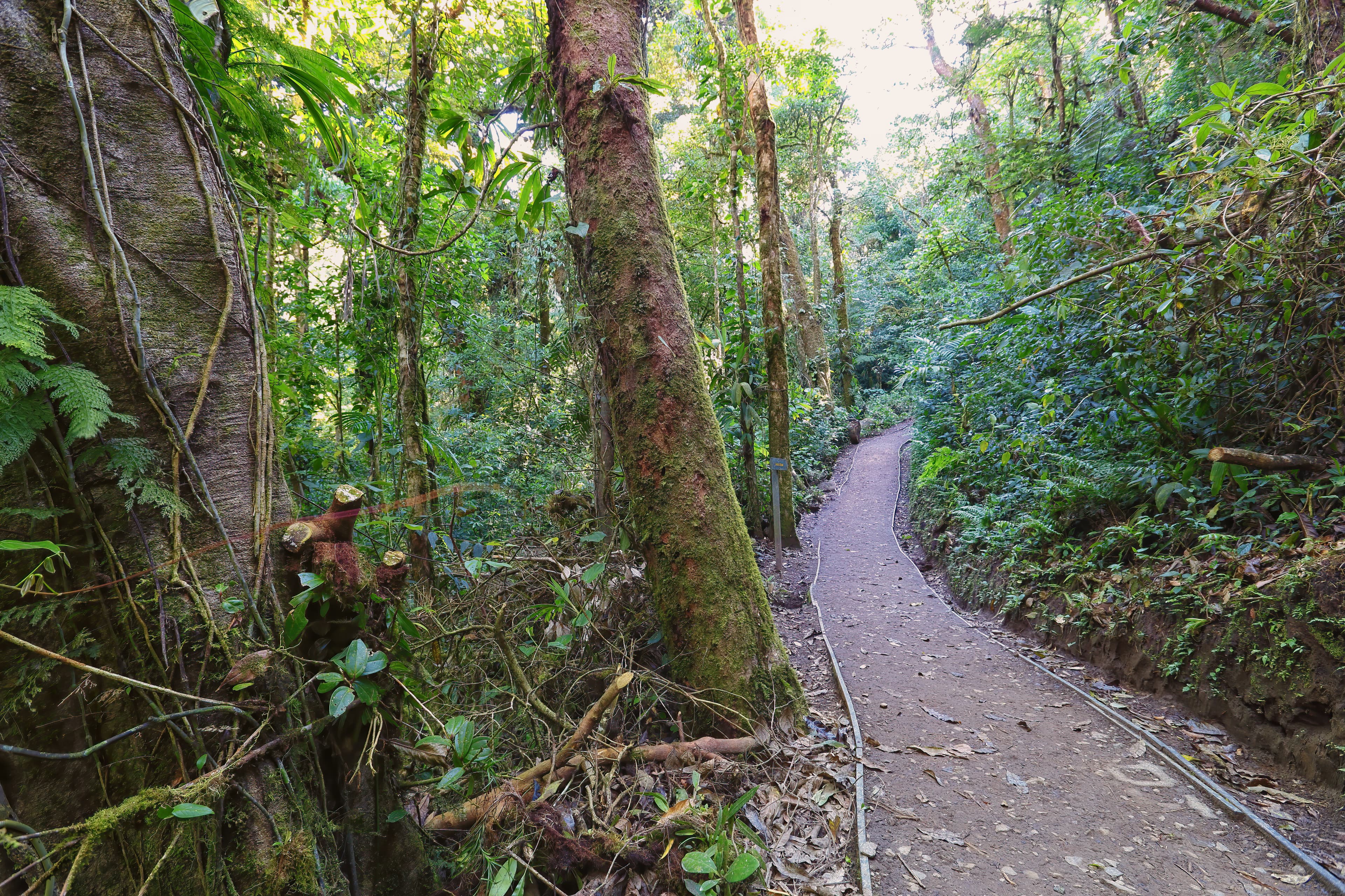 Monteverde, Costa Rica